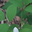 현서축산 이미지