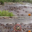 하마공인중개사사무소 이미지