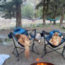 해피데이 이미지