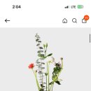 럽미모어