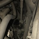 오렌지 카 크리닉 이미지