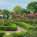 한밭수목원 이미지