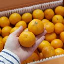 새안농장 이미지