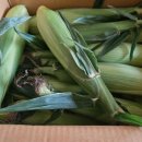 진솔농장 이미지