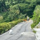 모모카네 펜션 이미지