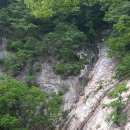 은선 Daum카페