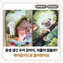 하랑숲아이들학원 | 강아지도 동생이 생기면 외로울까? 애니멀 커뮤니케이터 하랑 펫마음카드 상담 후기