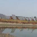 신안 태양광발전소 이미지