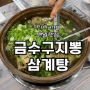 금수구지뽕삼계탕 | 포항 '금수구지뽕' 초복·중복·말복 보양식 추천! 오리 백숙 후기 #내돈내산