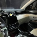 현대손세차 이미지