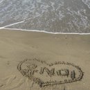 행복한 여정 이미지