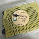 강산유통 | 제주강산들 무농약 블루베리 솔직 후기