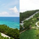 라카이샌드파인 이미지