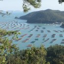 쿠킹스튜디오장&100도씨락 이미지