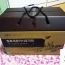 죽장한의원 | 건강 보조 식품 가시오가피 액상차 건강 식품 내돈내산 100% 솔직 후기