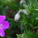 새로운세상 이미지