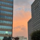 다르고 | 대치동오마카세 와려 디너코스 내돈내산 추천후기