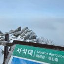 서석대 Daum카페