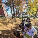 꿈가득한 유치원 이미지