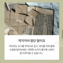 산나루식당 | 갈까]🧧설날에 용인 한국민속촌 가자❗️기름진 명절 뒤 속 편한 맛집🥢용인 풍천나루·삼대째손두부 솔직 후기💭