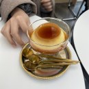 데일리 207 이미지