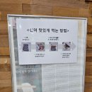 [여수돌산횟집] 현지인이 추천하는 자연산 여수선어회맛집 '어풍선어&amp;활어' 아내와 드라이브 후기