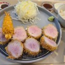 중앙상가 | [포항 중앙상가] 오노카츠 후기