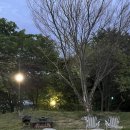 장재수월 | 장재수월 / 깨끗하고 조용한 진주 감성숙소 추천