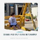 퍼즈269 | 영덕 장사해수욕장 인근 오션뷰 숙소 퍼즈 269펜션