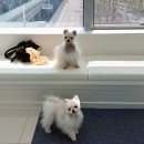 두카메디컬센터 이미지