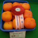 2007-주019 이미지