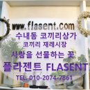 플라젠트 이미지