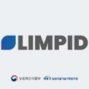 림피드 대구일보