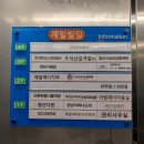 베러데이 핏 이미지