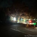 사람들과 자동차 | 전남 광주 | 자동차극장 주토피아2 후기