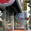 이선장회