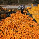 진상농장 이미지