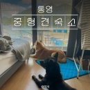 일키로미터(1KM)펜션 | 통영 애견 동반 숙소, 대형견 가능한 오션뷰 펜션 솔직 후기