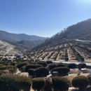 추모공원 관리사무소 | 부산추모공원 알아보다가 선택한 부산수목장, 낙원추모공원 직접 방문 후기