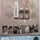 시흥 피부관리 셀피아 (수영강사가 써본 셀피아 줄기세포 앰플 솔직 후기)