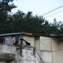 정재식 카카오 검색결과