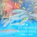 제주시 농협 본점 | 제주 서귀포 고등어회 맛집 하나로마트 중문농협본점 제주도민 인정 회포장 후기