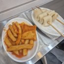 25.04 / 봄 사랑 벚꽃 말고🌸