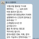 웰니스 동물병원 (구리점) | 광주 수완 <웰니스동물병원 수완점> 고양이 스케일링 내돈내산 강추후기