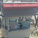 세계 박물관 탐험 | ​[남양주 나들이 시리즈 ①] 덕소 자연사 박물관 재방문기: 웅장한 공룡과 화석 탐험 🦖🏛️