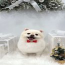 멍실묭실 이미지