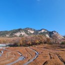 힐링타운 이미지