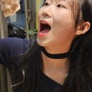 솥뚜껑한판 - 김해시 | 솥뚜껑한판