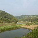 막시골 농원