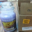 Yankee Candle 제품들 판매합니다 이미지